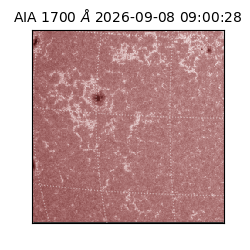 saia - 2026-09-08T09:00:28.716000