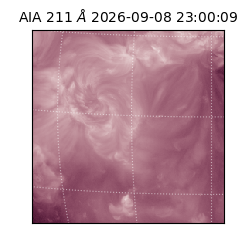 saia - 2026-09-08T23:00:09.632000