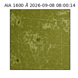 saia - 2026-09-08T08:00:14.123000