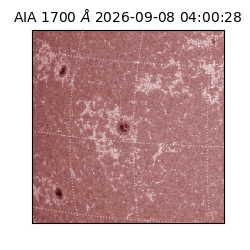 saia - 2026-09-08T04:00:28.720000