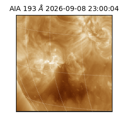 saia - 2026-09-08T23:00:04.842000