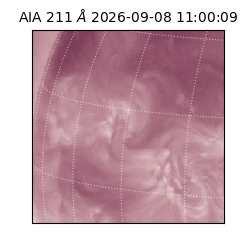 saia - 2026-09-08T11:00:09.623000