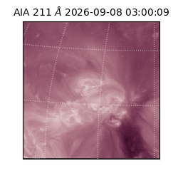 saia - 2026-09-08T03:00:09.624000