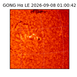 gong - 2026-09-08T01:00:42