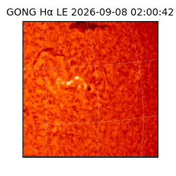gong - 2026-09-08T02:00:42