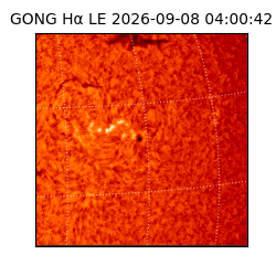 gong - 2026-09-08T04:00:42
