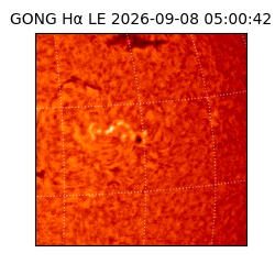 gong - 2026-09-08T05:00:42
