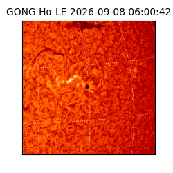 gong - 2026-09-08T06:00:42