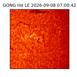 gong - 2026-09-08T07:00:42