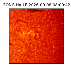 gong - 2026-09-08T08:00:42