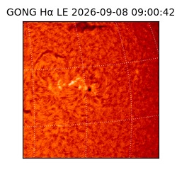 gong - 2026-09-08T09:00:42