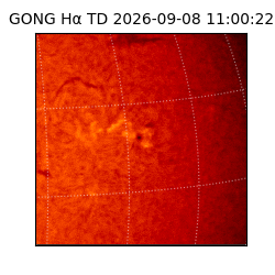 gong - 2026-09-08T11:00:22