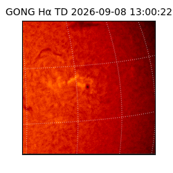 gong - 2026-09-08T13:00:22