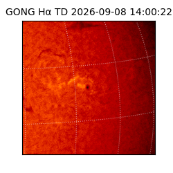 gong - 2026-09-08T14:00:22
