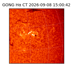 gong - 2026-09-08T15:00:42