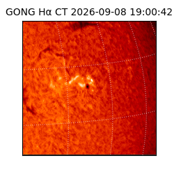 gong - 2026-09-08T19:00:42