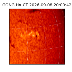 gong - 2026-09-08T20:00:42