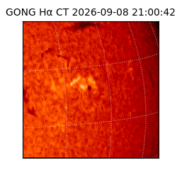 gong - 2026-09-08T21:00:42