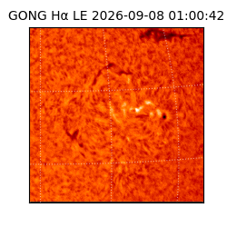 gong - 2026-09-08T01:00:42