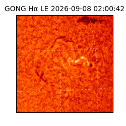 gong - 2026-09-08T02:00:42