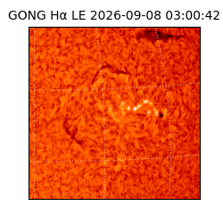 gong - 2026-09-08T03:00:42