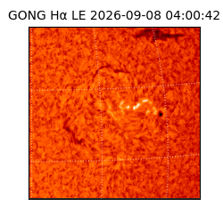gong - 2026-09-08T04:00:42