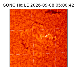 gong - 2026-09-08T05:00:42