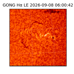 gong - 2026-09-08T06:00:42