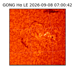 gong - 2026-09-08T07:00:42