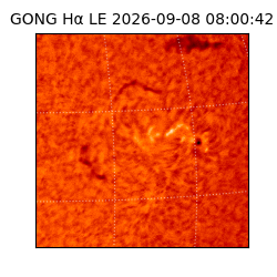 gong - 2026-09-08T08:00:42