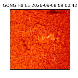 gong - 2026-09-08T09:00:42
