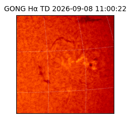gong - 2026-09-08T11:00:22