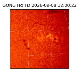 gong - 2026-09-08T12:00:22