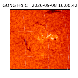 gong - 2026-09-08T16:00:42