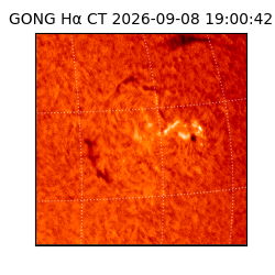 gong - 2026-09-08T19:00:42
