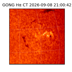 gong - 2026-09-08T21:00:42
