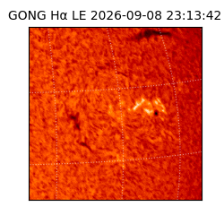 gong - 2026-09-08T23:13:42