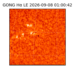 gong - 2026-09-08T01:00:42