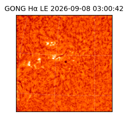 gong - 2026-09-08T03:00:42