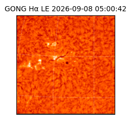 gong - 2026-09-08T05:00:42