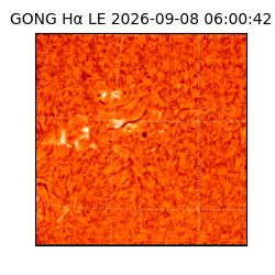 gong - 2026-09-08T06:00:42