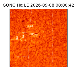 gong - 2026-09-08T08:00:42