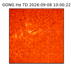 gong - 2026-09-08T10:00:22
