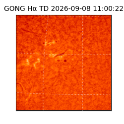 gong - 2026-09-08T11:00:22