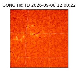 gong - 2026-09-08T12:00:22