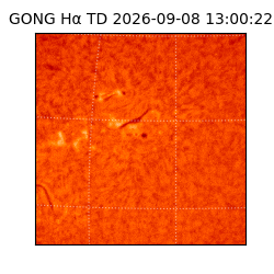 gong - 2026-09-08T13:00:22