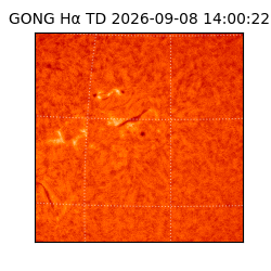 gong - 2026-09-08T14:00:22