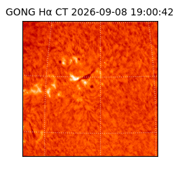 gong - 2026-09-08T19:00:42