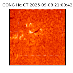 gong - 2026-09-08T21:00:42