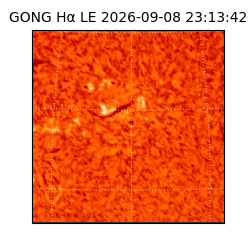 gong - 2026-09-08T23:13:42